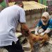 Puskeswan Kota Cilegon Galakkan Vaksinasi Rabies Gratis