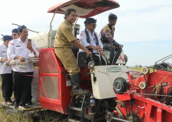 Menteri Pertanian Penen Raya di Tirtayasa, Optimistis Stok Beras Aman Saat Ramadan
