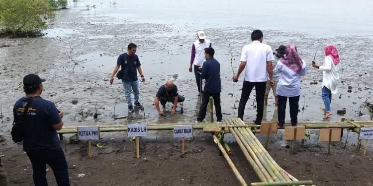 Peringati HPN 2023, PWI Kabupaten Tangerang Tanam 1.000 Mangrove di Desa Marga Mulya
