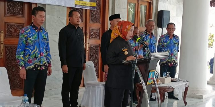 Kebutuhan Jagung di Kabupaten Serang Belum Terpenuhi, Industri Butuh Dua Juta Ton Setahun