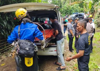 Pria Tanpa Identitas Tewas Tersengat Arus Listrik di Kebon Kosong