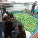 Delapan Nelayan Asal Iran Bawa Sabu-sabu 309 Kilogram