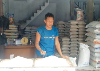 Selain Minyakita, Beras Juga Alami Kenaikan Tajam