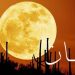 Jangan Tunda Qadha Puasa Ramadhan, Segerakanlah di Bulan Syaban Jika Belum Lunas