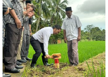 Hindari Sengketa Tanah, Banten Ikut Serta GEMAPATAS 1 Juta Patok