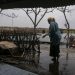 Tiga Desa di Teluknaga Langganan Banjir, Begini Reaksi Penggiat Konservasi