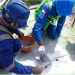 Serat Bambu “Disulap” jadi Bahan Perbaikan Tangki Timbun