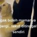 Video Kucing Peluk Kaki Pemiliknya Viral di TikTok