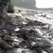 Pantai Ciantir dan Sungai Cisawarna Dipenuhi Sampah