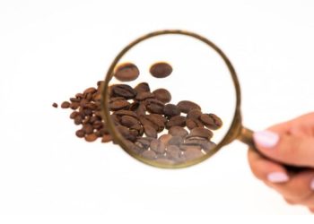 Wajib Baca, Kenali 6 Fakta Kopi yang Belum Banyak Orang Tahu