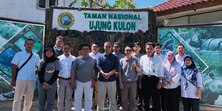 YPUI Peduli Pulihkan Ekosistem Pesisir Kawasan Taman Nasional Ujung Kulon