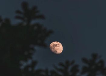 Gerhana Bulan Panumbra Terjadi Tanggal 5 Sampai 6 Mei 2023, Catat Waktunya
