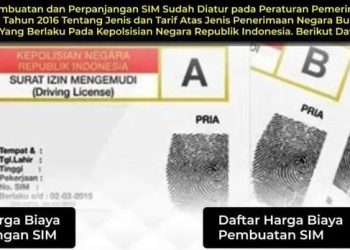 Jenis SIM di Indonesia Menurut Golongan dan Tata Cara Pembuatan SIM