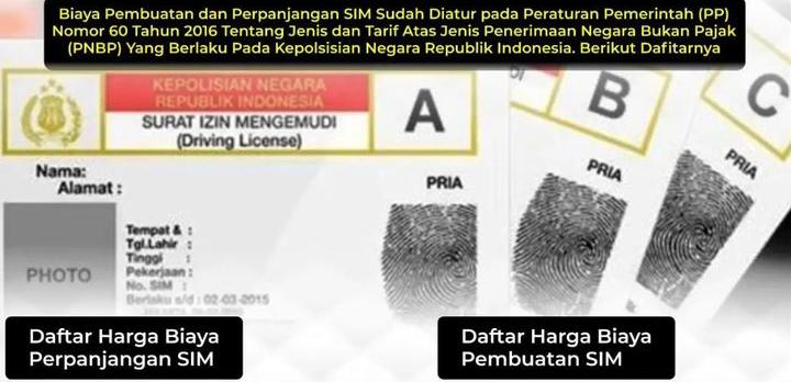 Jenis SIM di Indonesia Menurut Golongan dan Tata Cara Pembuatan SIM