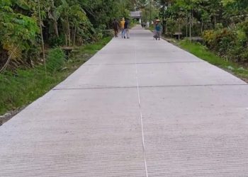 Jalan Kabupaten Pandeglang Kondisi Mantap Sepanjang 495,33 kilometer