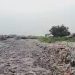 Pantai Labuan Terburuk dan Terkotor di Indonesia, Pandawara Group Ajak Masyarakat Membersihkan Pantai, Catat Tanggalnya