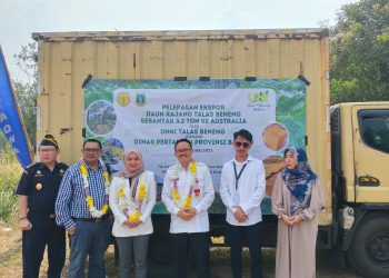 Distan Banten Lepas Ekspor 3,2 Ton Daun Talas Beneng ke Australia