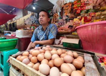 Harga Telur Ayam di Pelosok Daerah Rp 40 Ribu per Kilogram