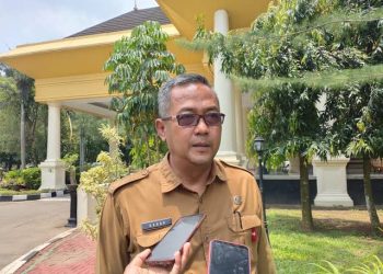 Disperindag Sebut Harga Daging Ayam Akan Turun Juni Mendatang karena Ini