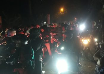 Pohon di Jalan Rangkasbitung-Pandeglang Tumbang, Lalu Lintas Lumpuh Total