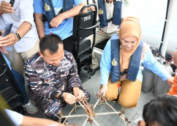 Peduli Lingkungan, Irna Narulita Tanam Terumbu Karang di Pulau Liwungan