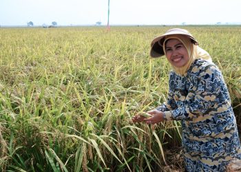 Bupati Serang Raih Satyalancana Wira Karya dari Presiden