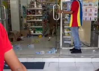 Hendak Disembelih, Hewan Kurban di Lebak Ngamuk Masuk ke Minimarket