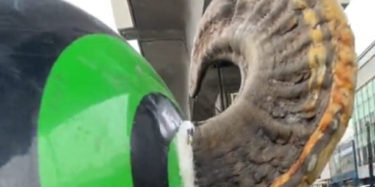 Viral, Helm Bertanduk Pengemudi Ojol Sukses Menarik Perhatian Netizen
