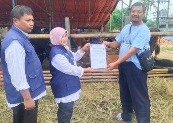 DKPP Cilegon Mulai Pantau Kesehatan Hewan Kurban