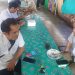 Cerita Tenaga Honorer Tangsel Jelang Penghapusan Honorer, dari Mencari Pekerjaan Baru hingga Bingung