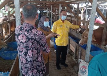 Pemkab Serang Pastikan Hewan Kurban Dalam Kondisi Sehat