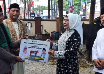 Pemkab Serang Salurkan Puluhan Hewan Kurban ke Masyarakat