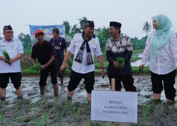 Hadapi El Nino 2023, Mentan Bersama Bupati Irna Tanam Padi di Sawah Cimanuk