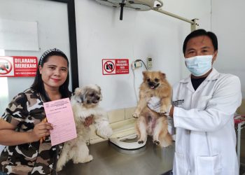Permintaan Vaksinasi Rabies di Kota Cilegon Meningkat