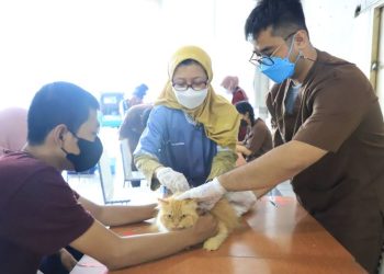 Sambut HUT RI, DKP Kota Tangerang Gelar Vaksinasi Rabies Gratis