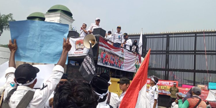 Aksi Damai di Depan Gedung DPR RI, Puluhan Honorer Kabupaten Tangerang Kecewa