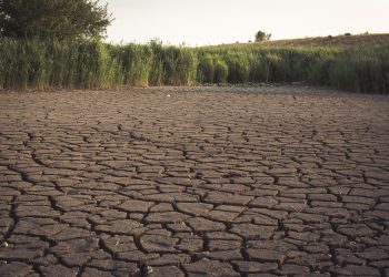Fenomena El Nino 2023 Tak Seekstrem Tahun 2015