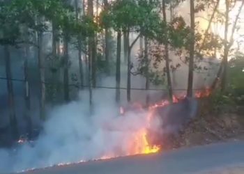 Penyebab Kebakaran Hutan dan Lahan di Gunungkencana Belum Diketahui