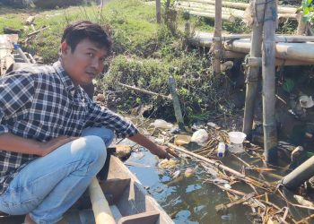 Ikan-ikan di Sungai Ciujung Mati, Aktivis Desak Pemerintah Serius Tangani Pencemaran
