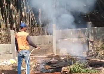 DLH Tangsel: Kepulan Asap Hitam Pagi Tadi Dilakukan Sekolah Al Irsyad
