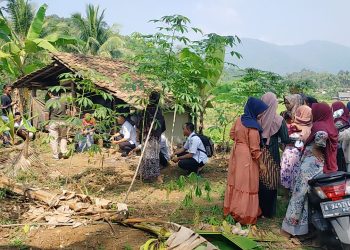 Dikira Kuntilanak, Ternyata Ibu Muda Melahirkan Sendirian di Bawah Pohon Kelapa