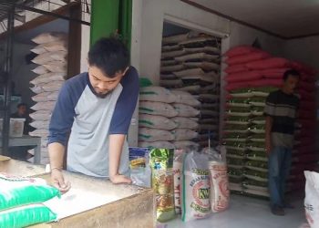 Imbas El Nino, Harga Beras di Pandeglang Melonjak Drastis