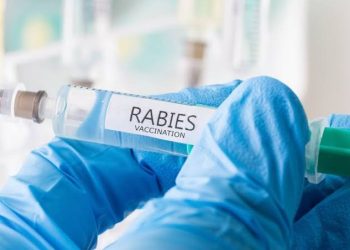 Bebas Penyakit Mematikan, DPKP Pandeglang Ajak Pemilik Hewan Peliharaan Vaksinasi Rabies