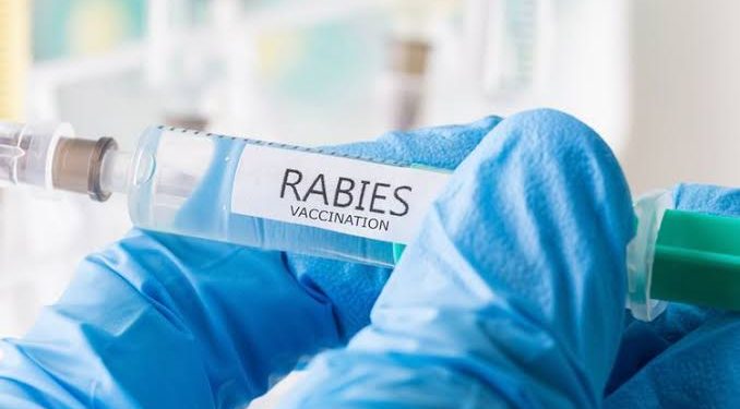 Bebas Penyakit Mematikan, DPKP Pandeglang Ajak Pemilik Hewan Peliharaan Vaksinasi Rabies