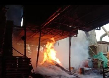 Pabrik Pengolahan Kayu Terbakar, Petugas Damkar Kesulitan Padamkan Api