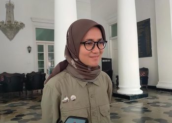 Kader Demokrat Ingin Turunkan Baliho Bergambar Anies Baswedan, Iti Octavia Jayabaya : Sebagai Wujud Emosi
