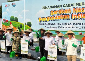 Tim Pengendali Inflasi Banten Tanam Cabai di Padarincang
