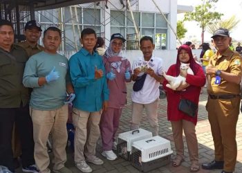 Ratusan Anjing dan Kucing di Lebak Disuntik Vaksin Rabies