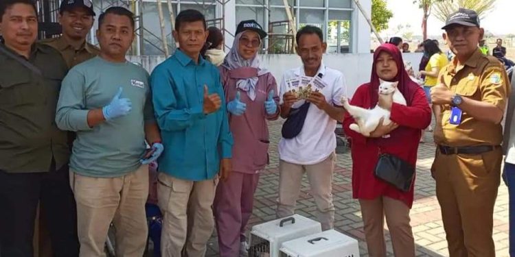 Ratusan Anjing dan Kucing di Lebak Disuntik Vaksin Rabies