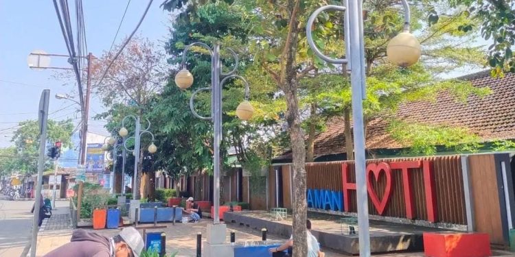 Dampak El Nino, Tujuh Taman Kota di Rangkasbitung Kekeringan